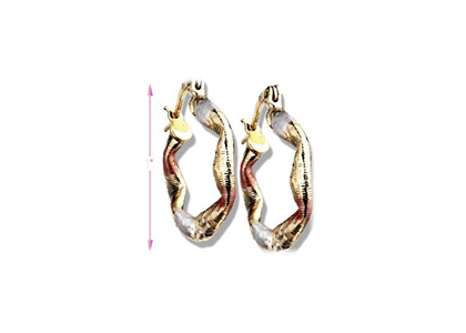 2 Tone Plated | Fashion Earrings